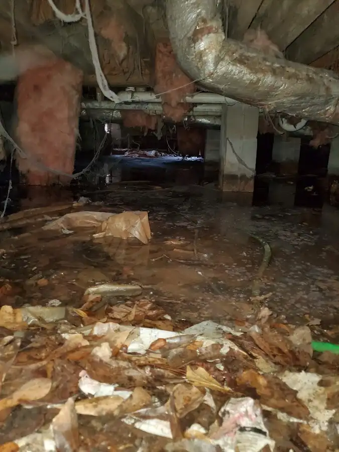 Crawl space flood assessment for Leak Detection & Repair in Denison